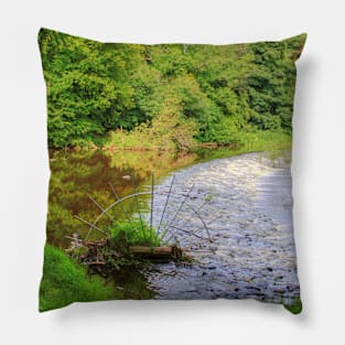 Almond Weir Pillow