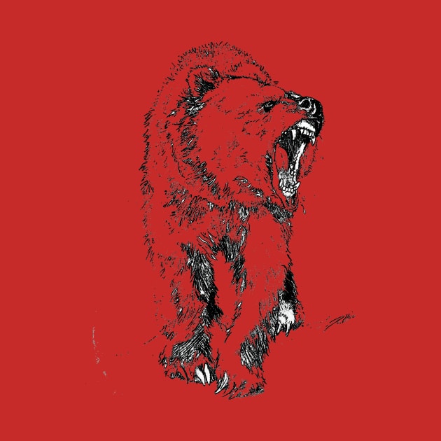 Grizzly Bear by Anthony Statham