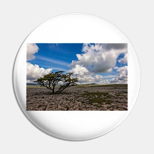 Lone Tree At Ingleton Pin