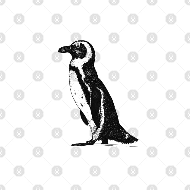 African Penguin by samanthagarrett