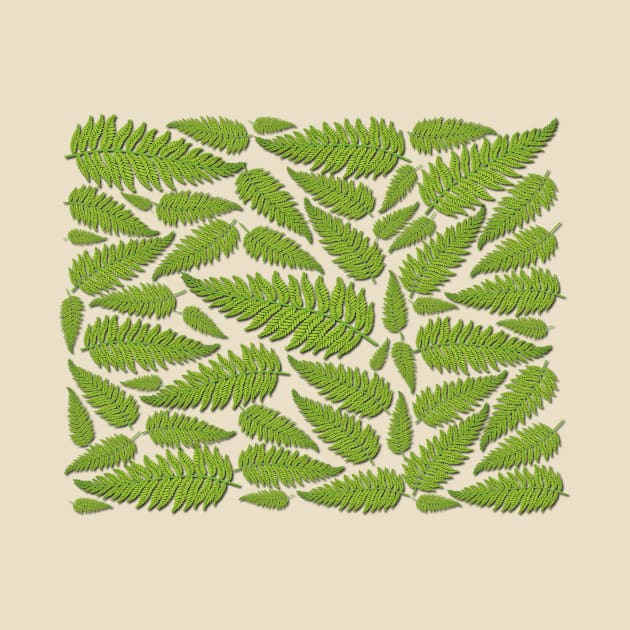 Ferns by Verl