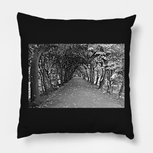 Tree Avenue Pillow