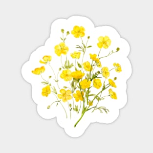 yellow buttercup bouquet Magnet