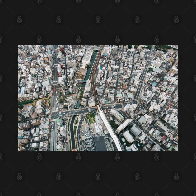 Japan - Aerial View of Central Tokyo by visualspectrum