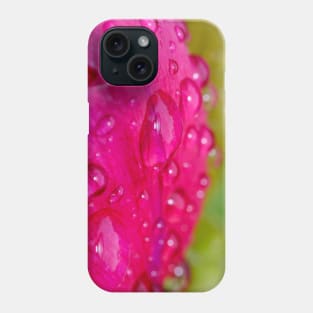 Raindrops on Petals. Flower Photography Phone Case