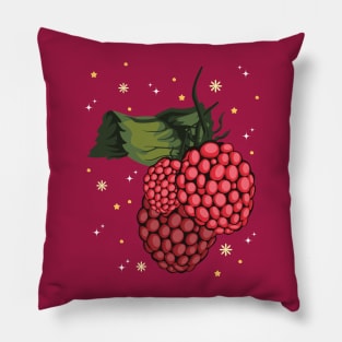 Raspberry Sorbet Pillow