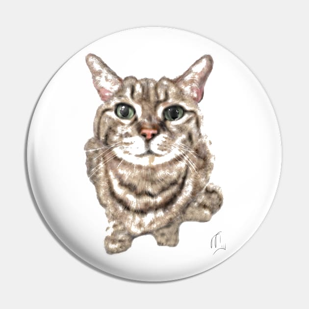 Green Eyed Fluffy Kittie Cat Pin by LITDigitalArt