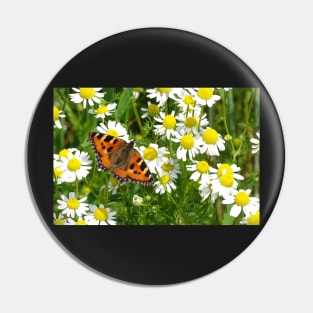 Mayweed Forager Pin