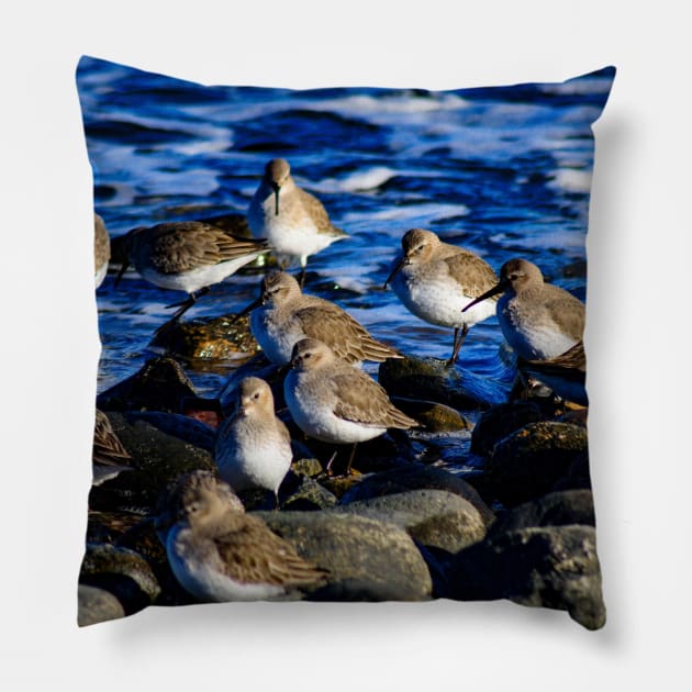 Sandpipers Pillow by Rob Johnson Photography