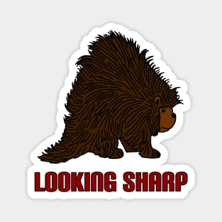 Looking Sharp Porcupine Magnet