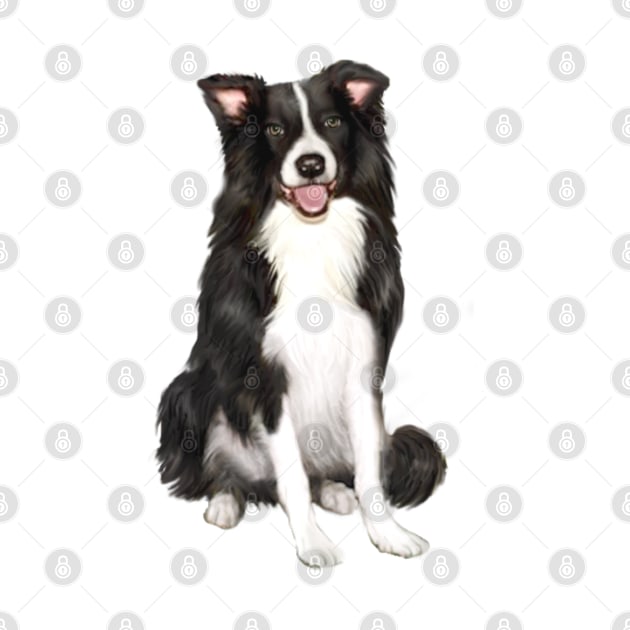 A Happy Border Collie - Just the Dog by Dogs Galore and More