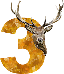 Stag No.3 Magnet
