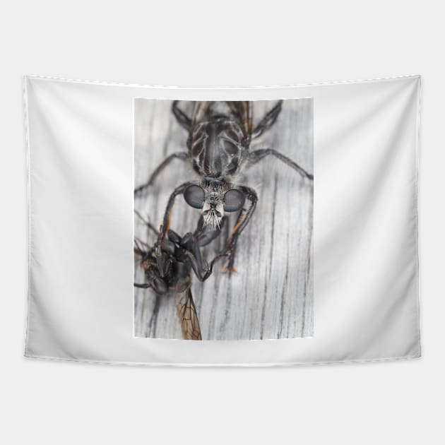 Robber fly with prey Tapestry by SDym Photography