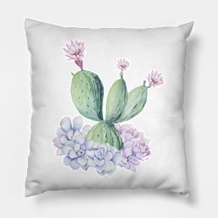 Pretty Pink and Green Southwest Cactus Succulent Pillow