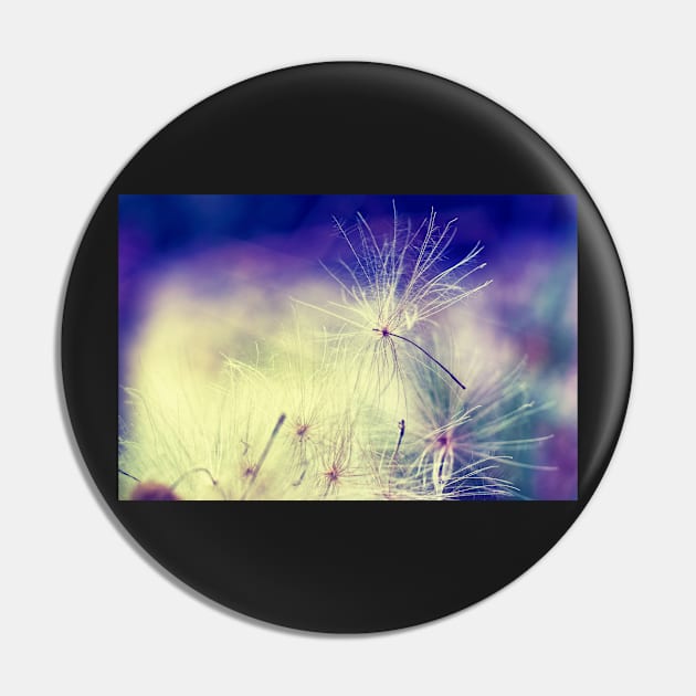 Thistle Seeds Pin by InspiraImage