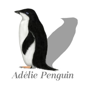 Adelie Penguin Labeled T-Shirt