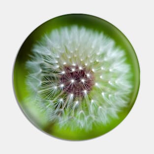 Dandelion Pin