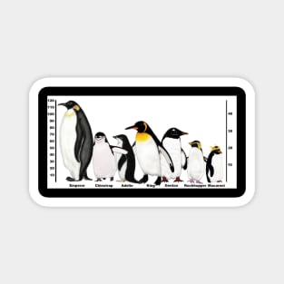 Antarctic Penguins Height Magnet