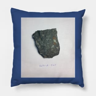 Flat Fossil Rock Sample Detrick 027 Pillow