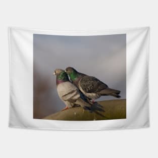 Pigeon Fancier Tapestry