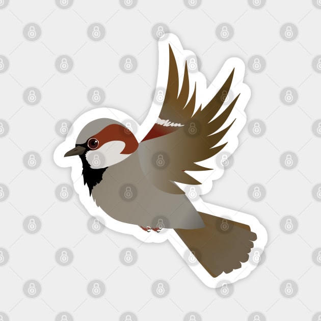 House sparrow flying Magnet by Bwiselizzy