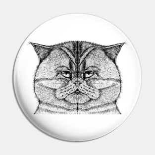 Cat 3 Pin