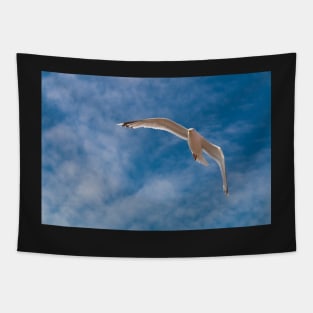 Gull Tapestry