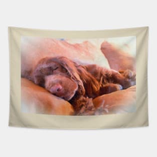 Sussex Spaniel Sleeping Tapestry