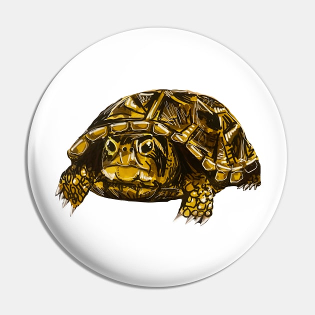 Ornate Box Turtle Pin by KatieMorrisArt