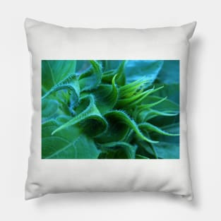 Sunflower Bud Pillow