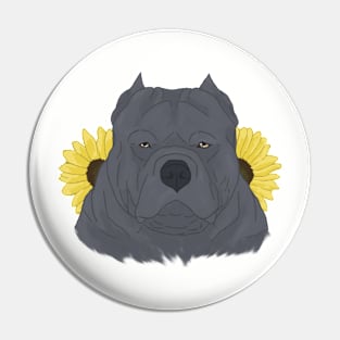 Blue American Bully with Sunflowers Pin