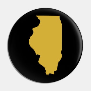 Illinois state map Pin