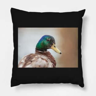 Mallard Male Pillow