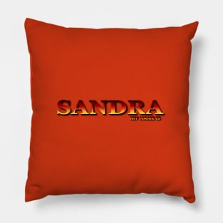 SANDRA. MY NAME IS SANDRA. SAMER BRASIL Pillow