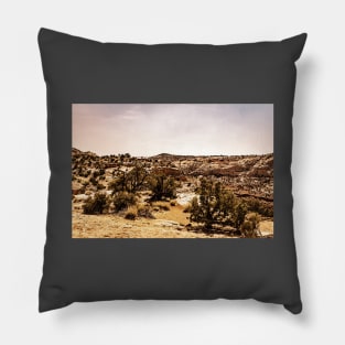 Utah Route State 12 Scenic Drive Pillow