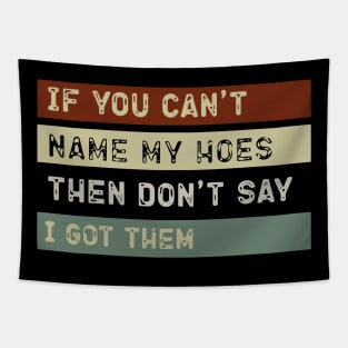 Funny If You Can't Name My Hoes Quote Don't Say I got them Gift Tapestry