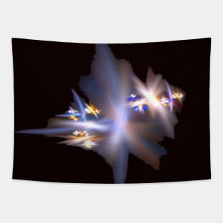 Light Speed Fractal Tapestry