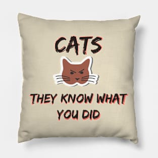 Cats Know Pillow