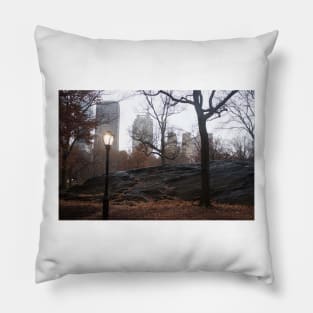 December in Central Park Pillow