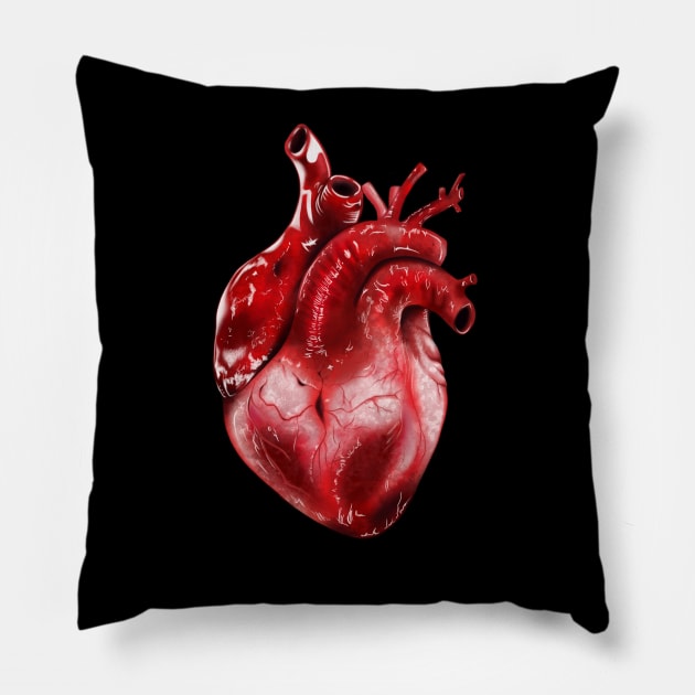 Anatomical Heart Pillow by leafdesigns