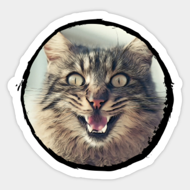 Oil Painted Angry Cat Cat Sticker Teepublic Au
