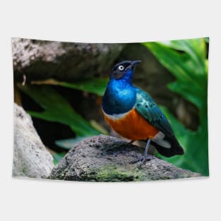 A Dashing Figure in Blue, Green, and Russet: African Superb Starling Tapestry