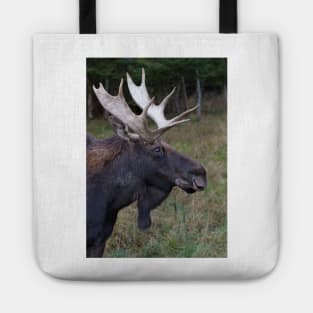 Canadian Moose Tote