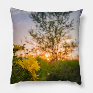 yellow wildflowers Pillow