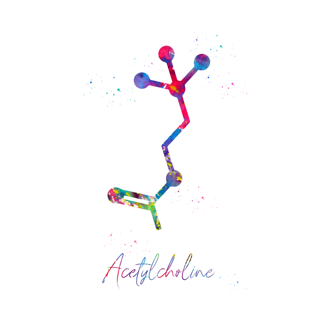 Acetylcholine molecule by erzebeth