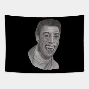 Cat Red Dwarf Tapestry