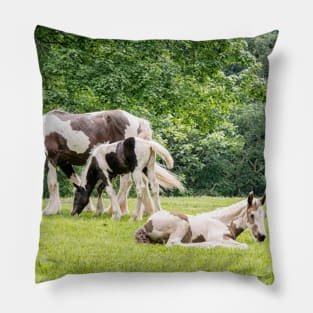 Lazy Grazing Horses Pillow