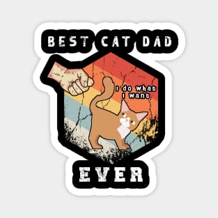 Best cat dad ever - Father vintage cat dad ever gift Magnet