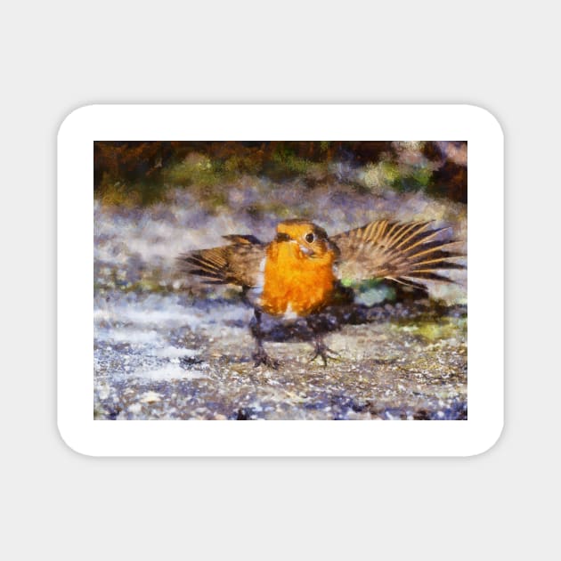 Dancing Robin Magnet by GrahamPrentice