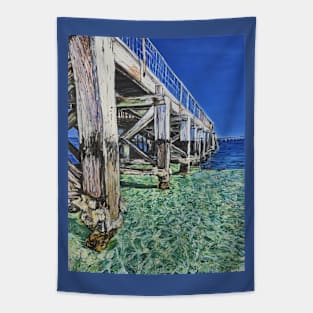 Crystal Waters Tapestry